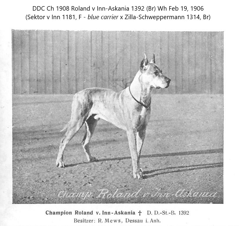 Roland v Inn-Askania